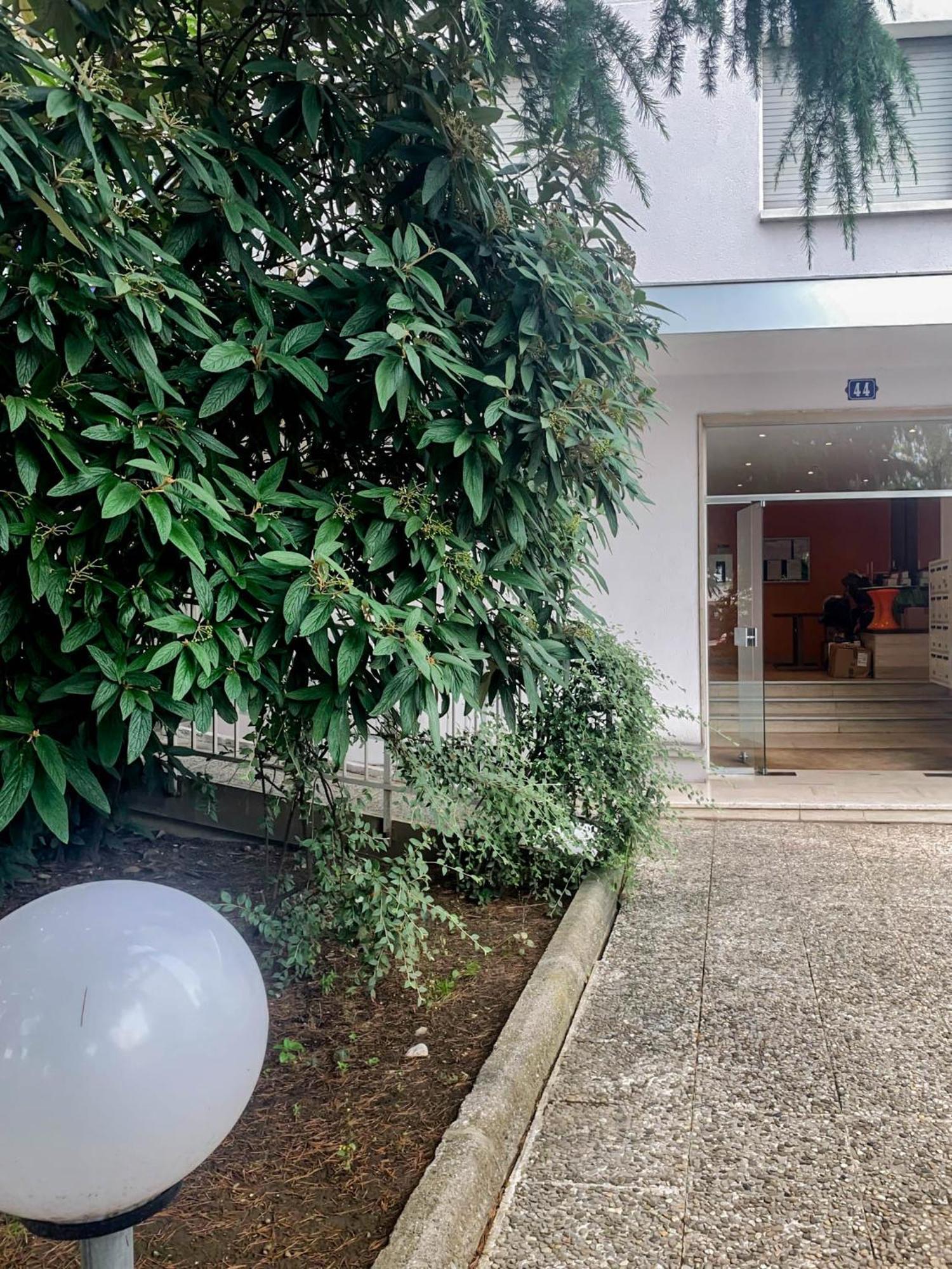 Kusmi Piscine Proche Du Appartement